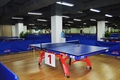 Ping-pong room